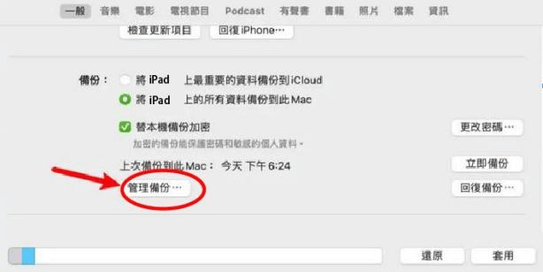 用 iTunes 备份 iPad