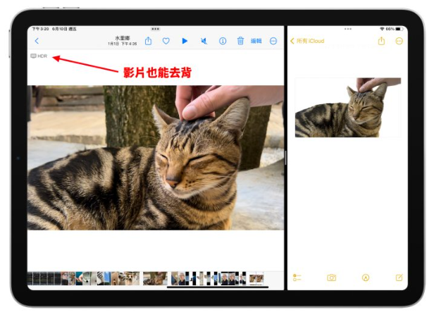 iPadOS 16「去背」功能怎么用？超方便拷贝主体长按一秒就完成